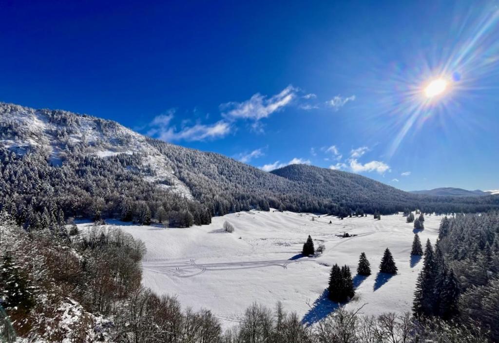 Restaurant Hotel Du Vercors Saint-Martin-en-Vercors エクステリア 写真