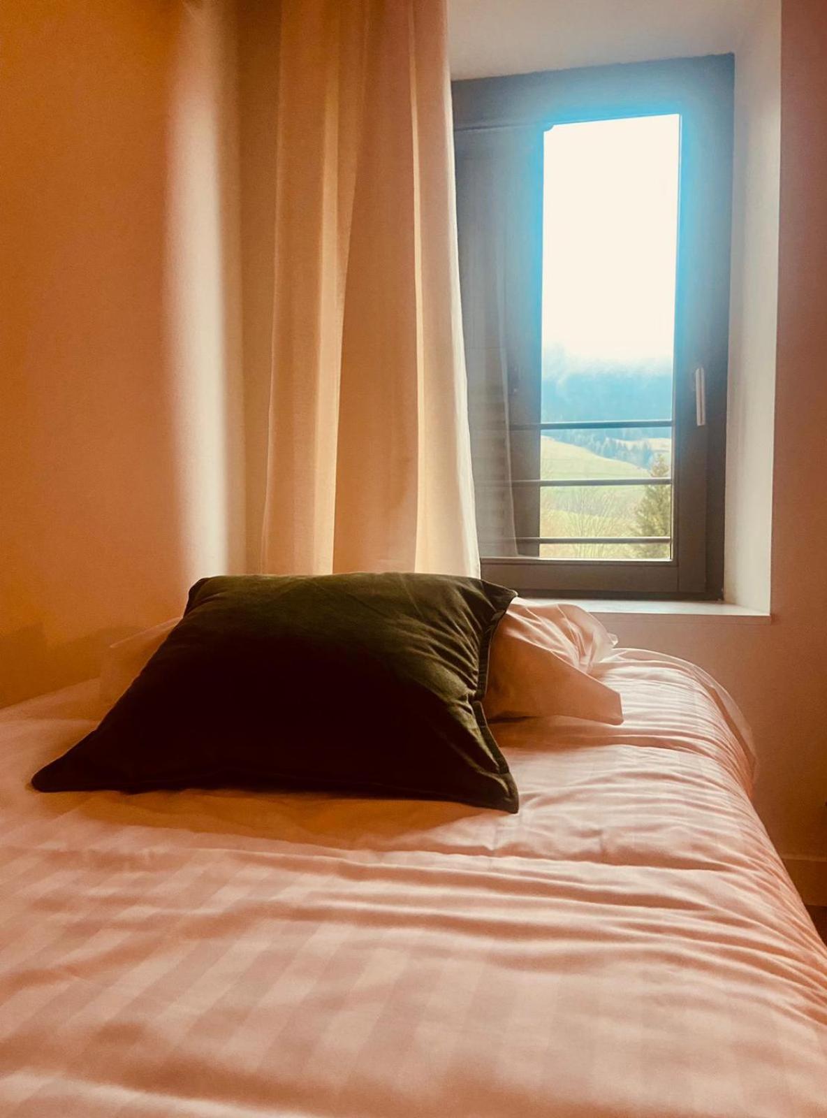 Restaurant Hotel Du Vercors Saint-Martin-en-Vercors エクステリア 写真